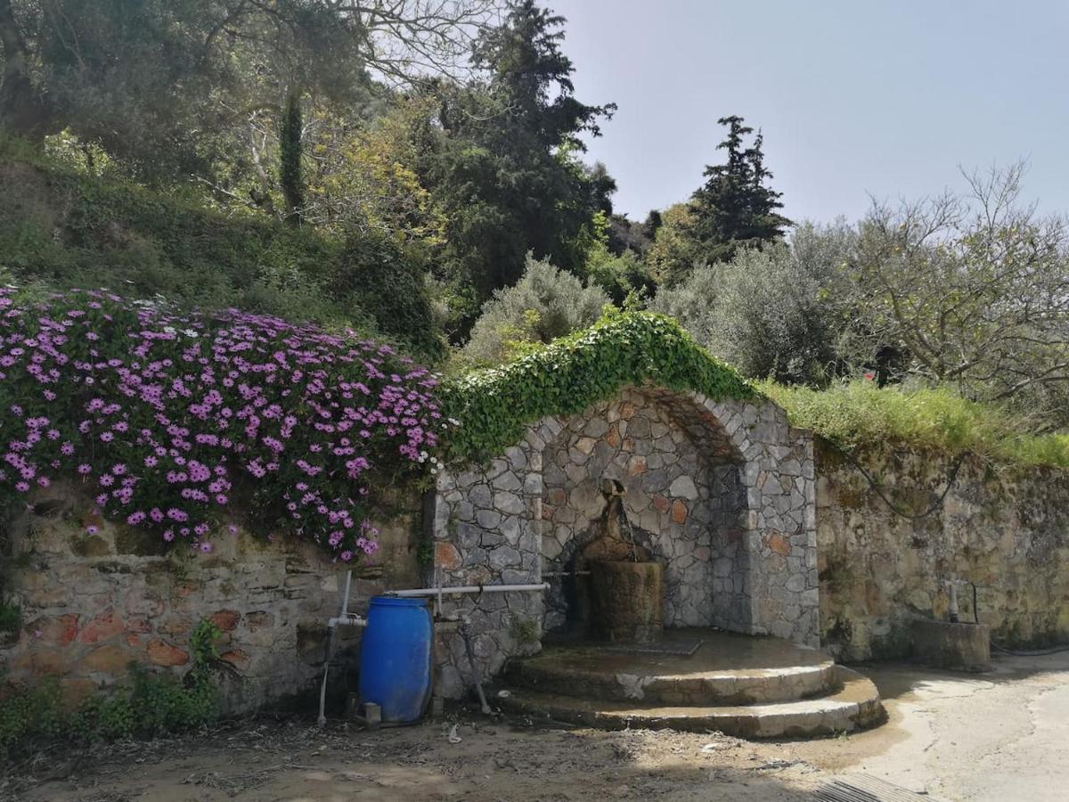 Batilas Garden House Kissamos Exterior photo